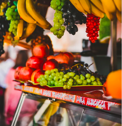 fibers in our diet